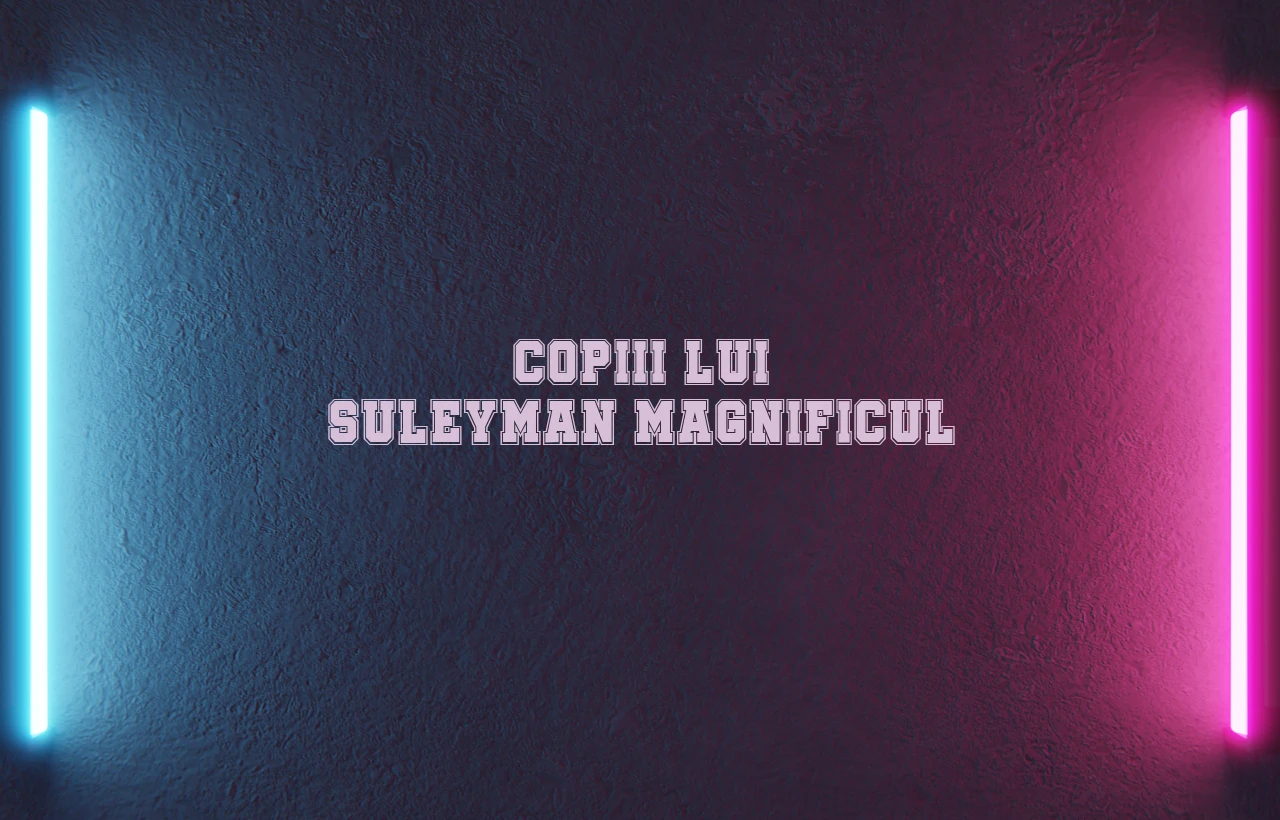 copiii lui suleyman magnificul
