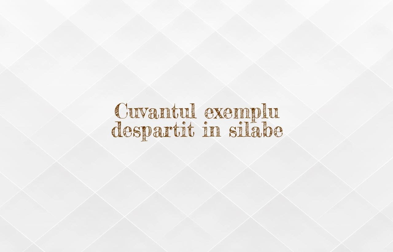 exemplu despartit in silabe